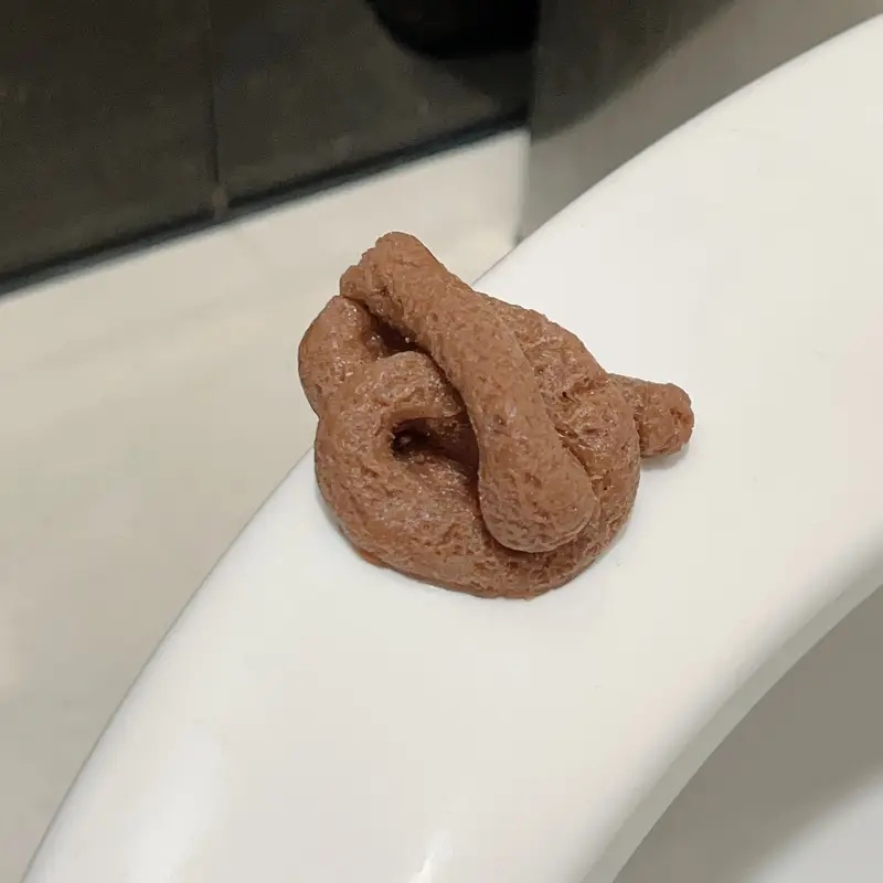 Realistic Floating Fake Poop P - Fake Poop Gag Gift 评论和价格